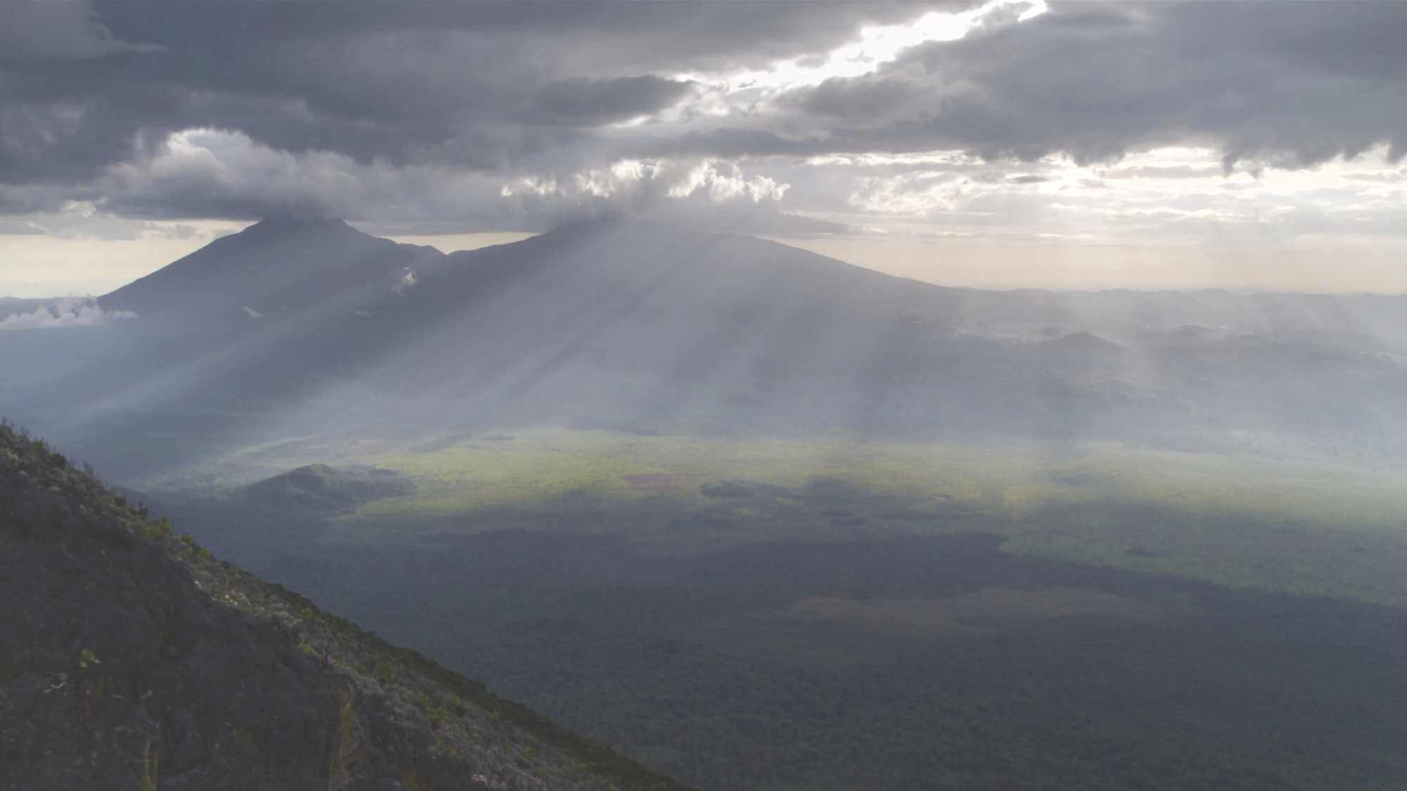 Virunga (image 2)