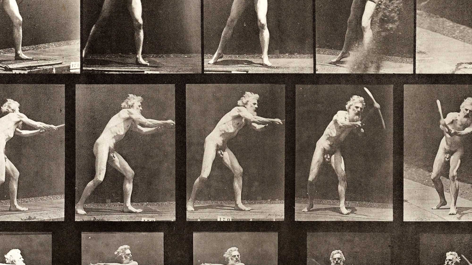 Exposing Muybridge (image 3)