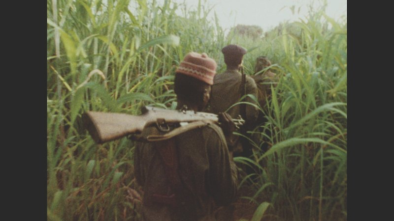 Concerning Violence (image 1)