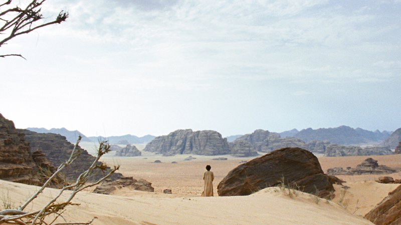 Theeb (image 2)