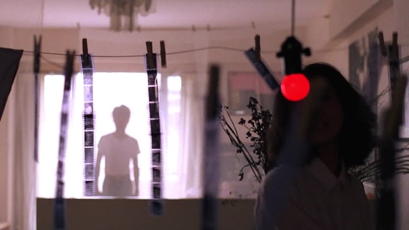 The Terroriser (image 1)