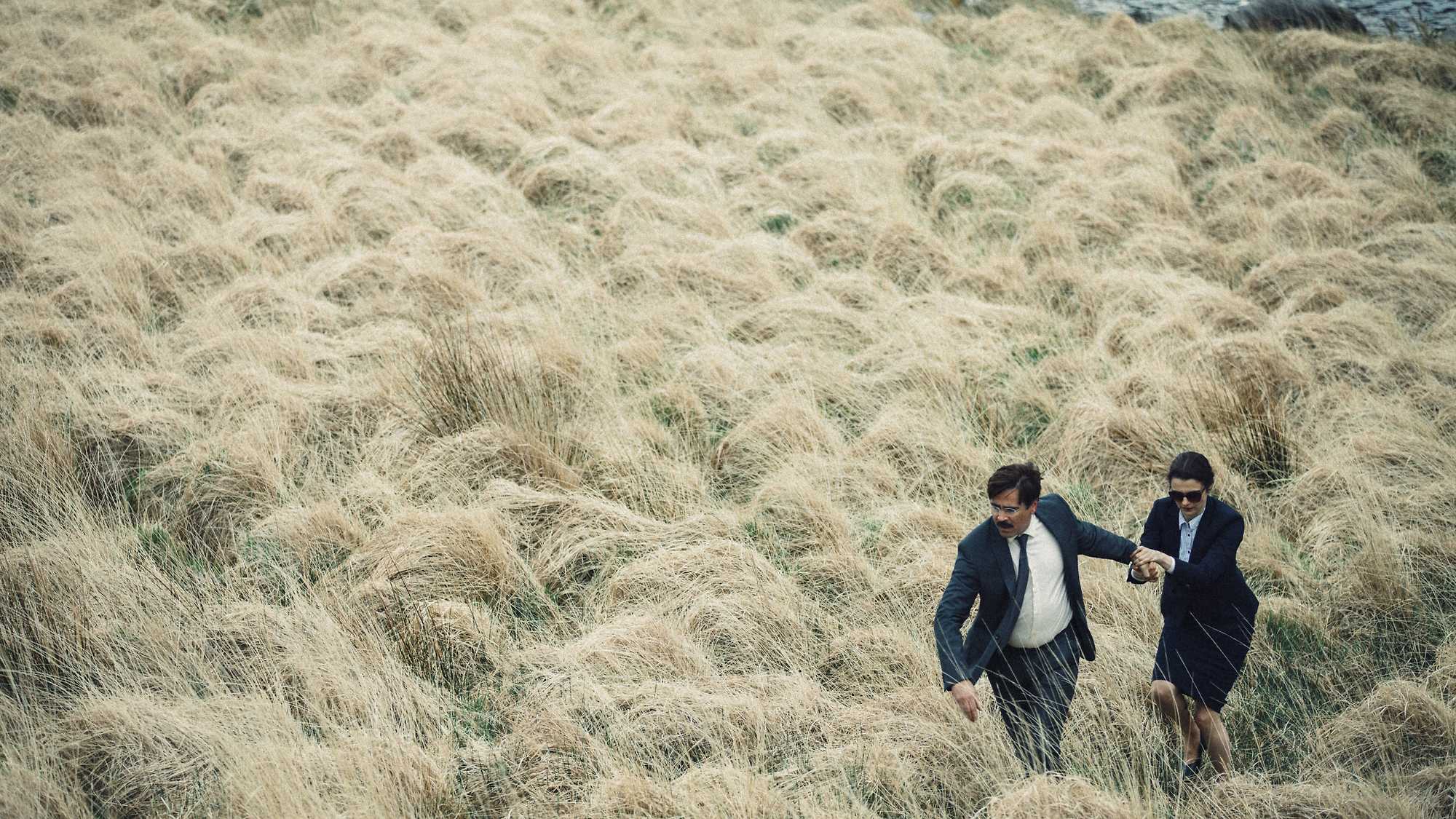 The Lobster (image 2)