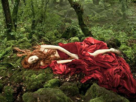 Tale of Tales