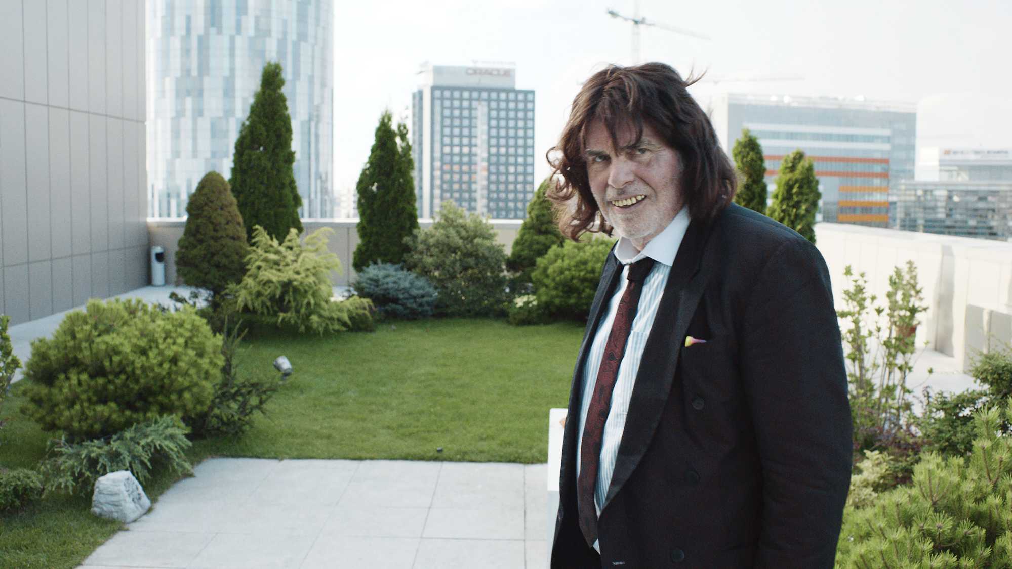 Toni Erdmann (image 3)