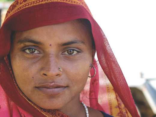 Pink Saris