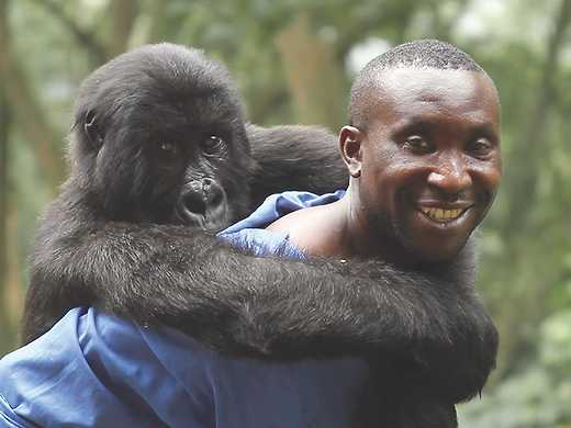 Virunga