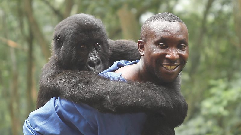 Virunga (image 1)