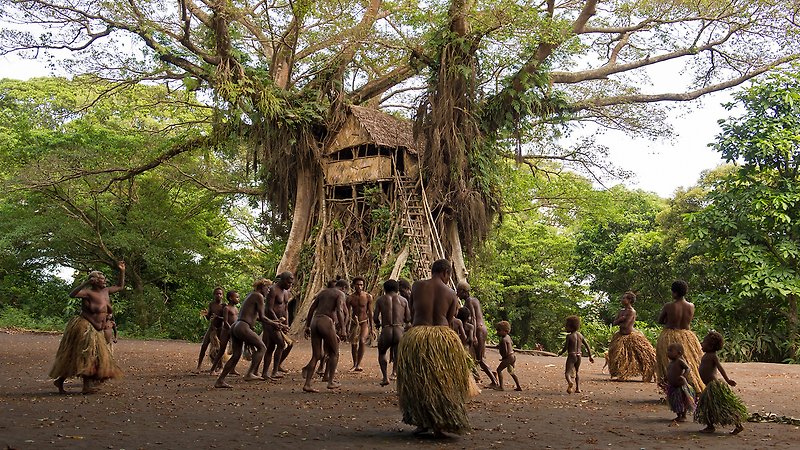 Tanna (image 3)