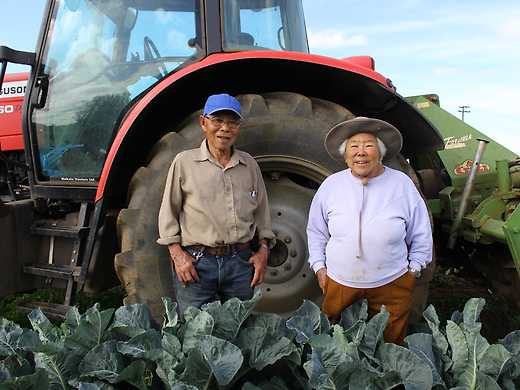 How Mr & Mrs Gock Saved the Kumara